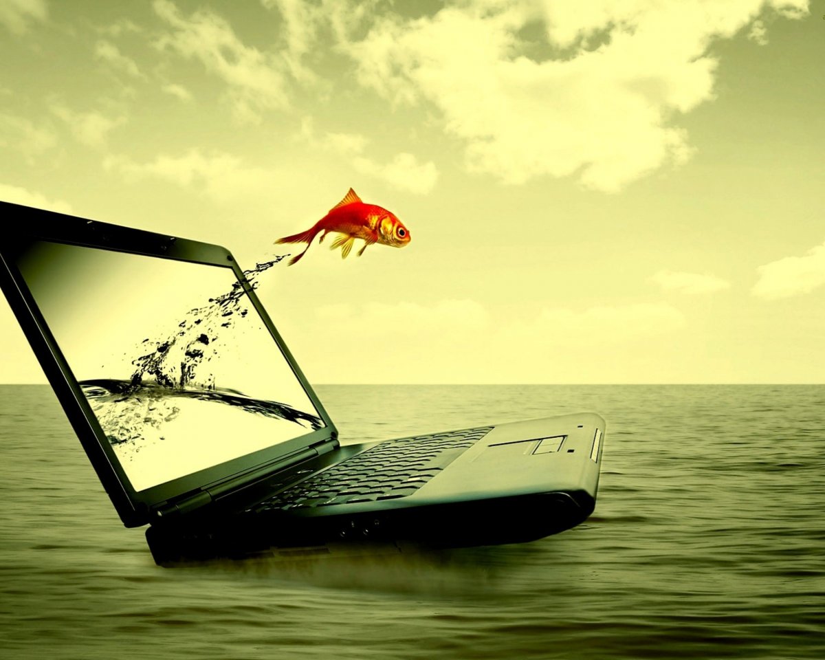 Фотообои на ноутбук