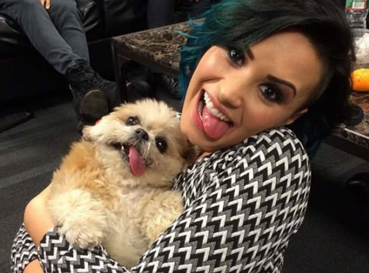 Кавапу и мальтипу