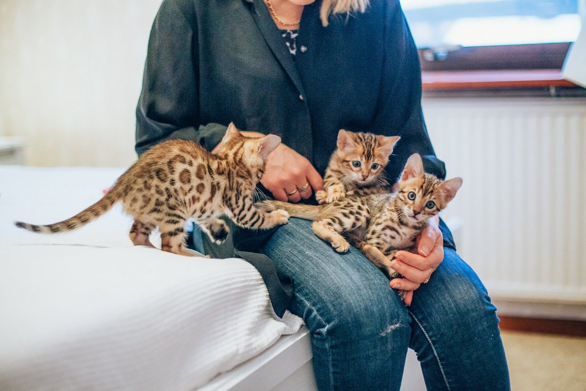 Саванна Ашера