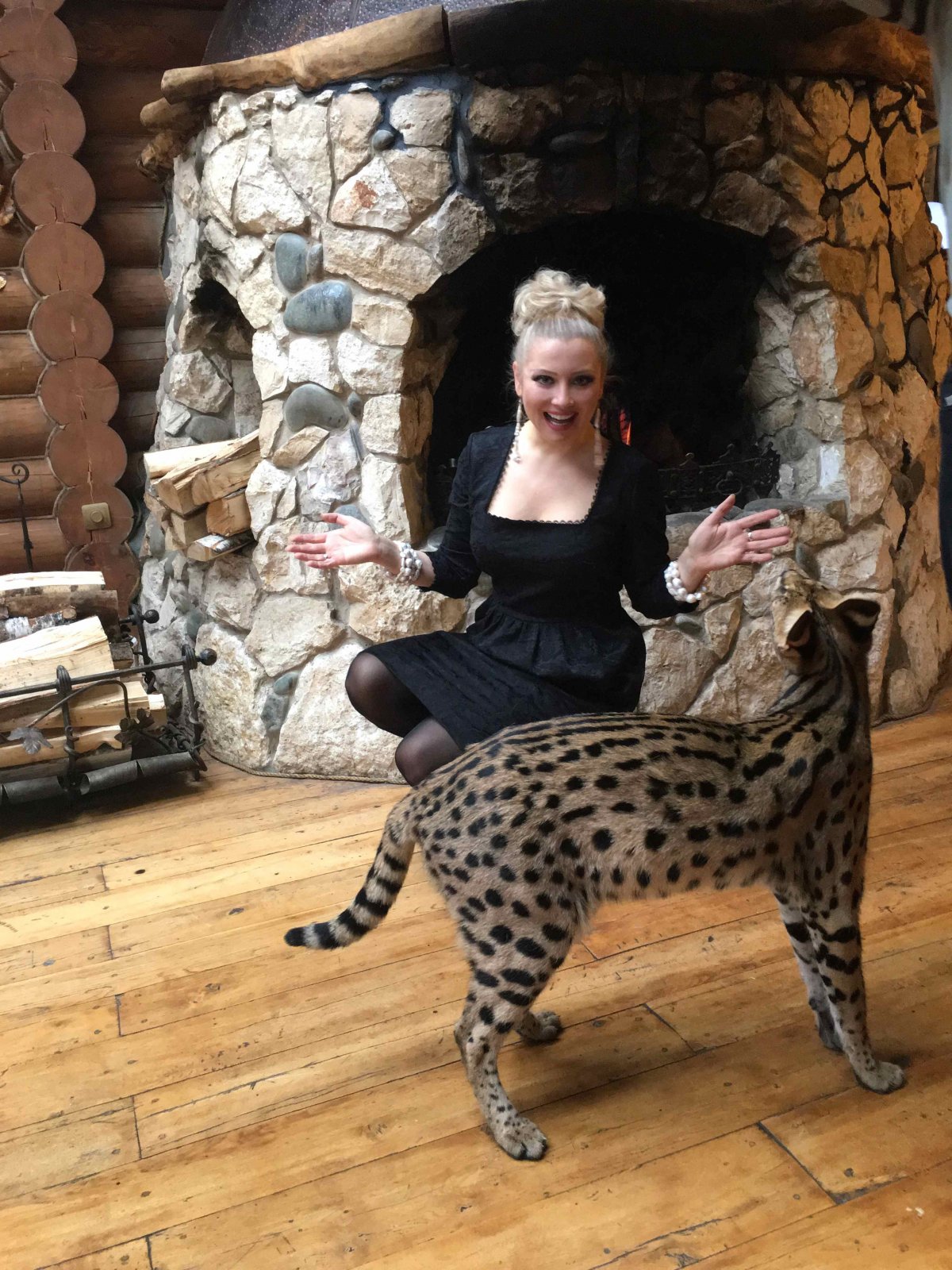 Кот сервал и человек