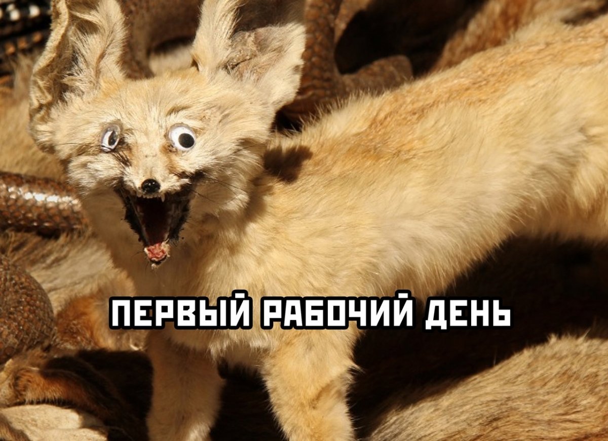 Забавное чучело