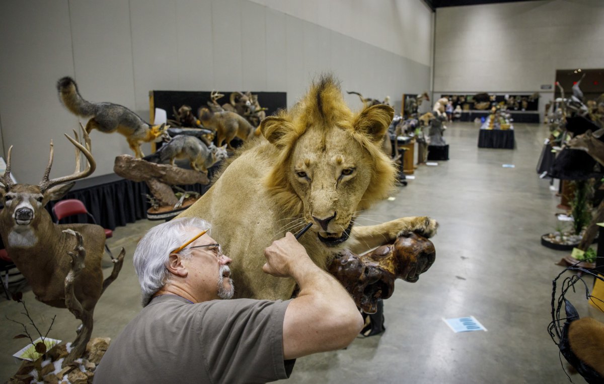 Обкуренный мишка