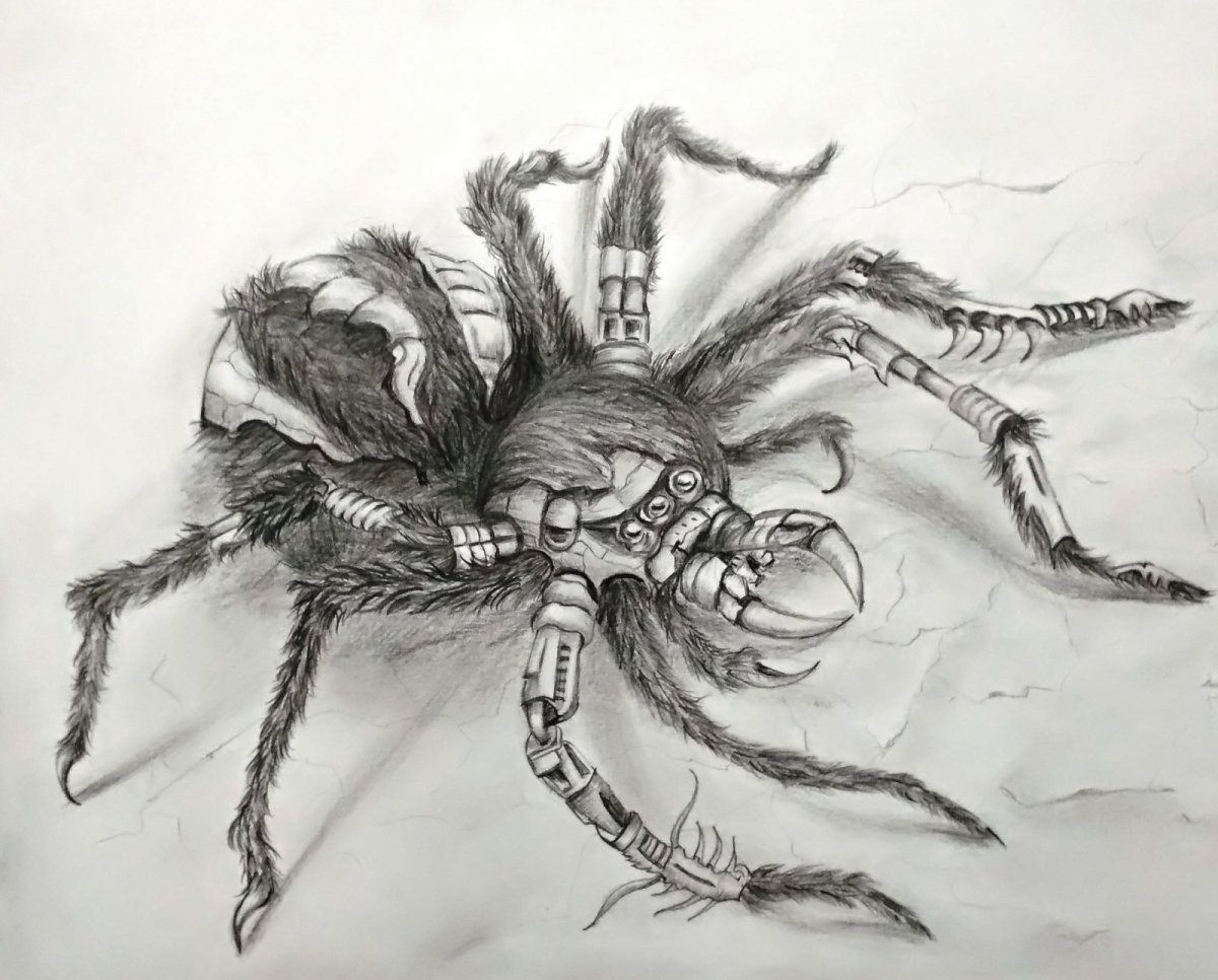 Доисторические пауки