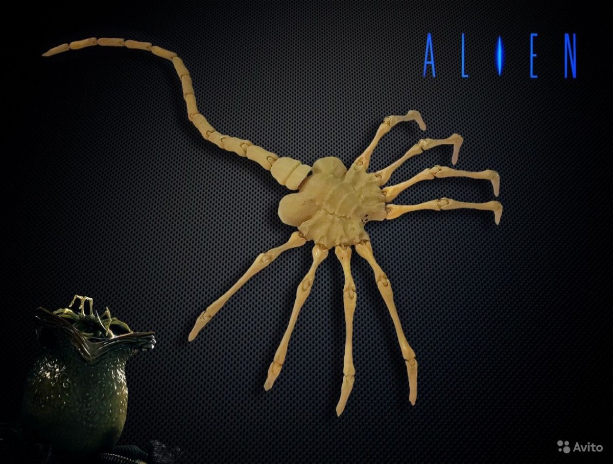 Bbc: прогулки с монстрами. Жизнь до динозавров сериал