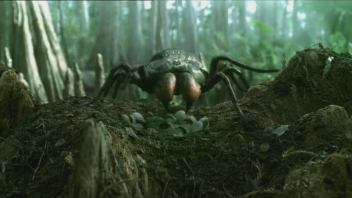 Паука из паучков