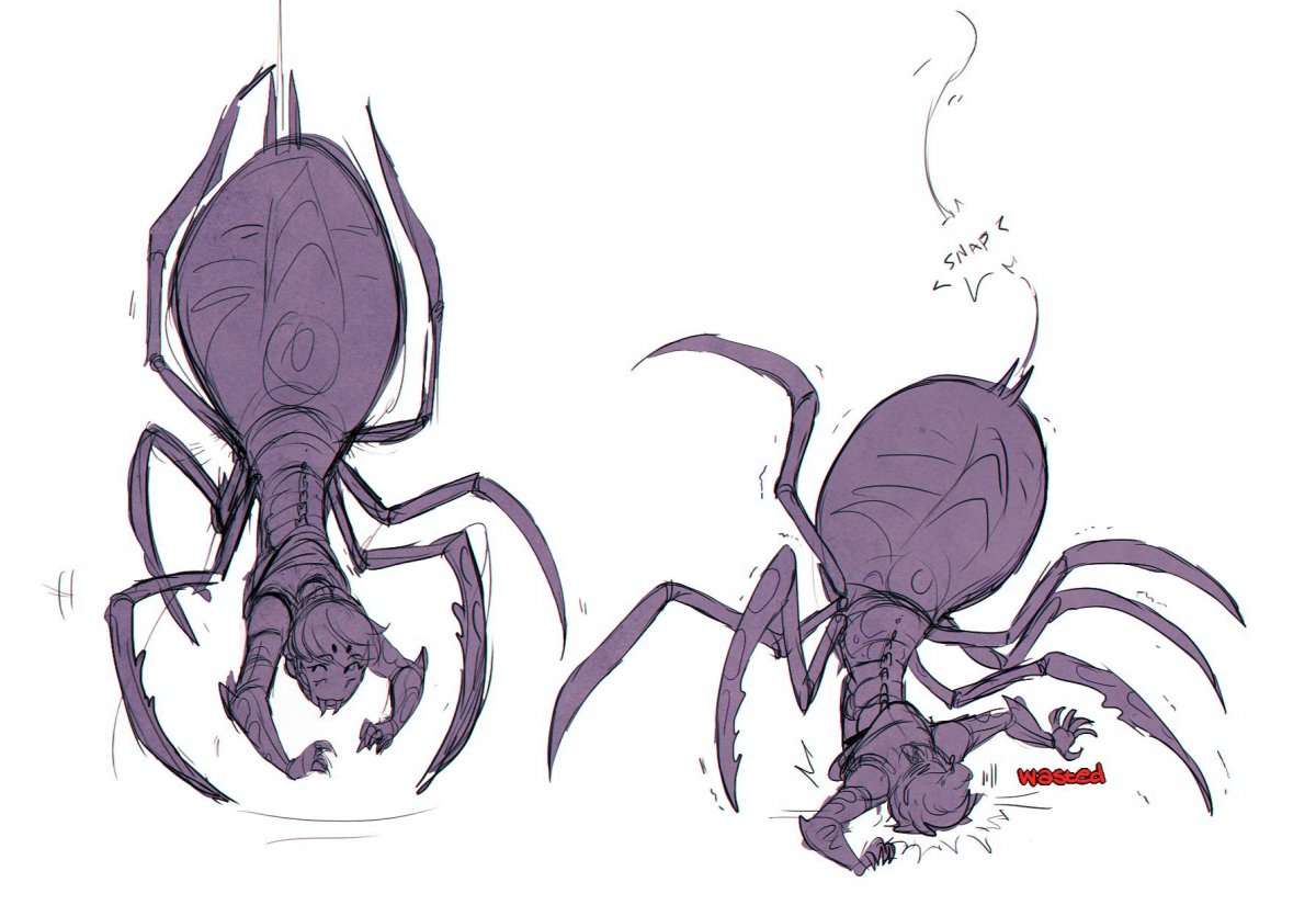 Арагог паук Австралия