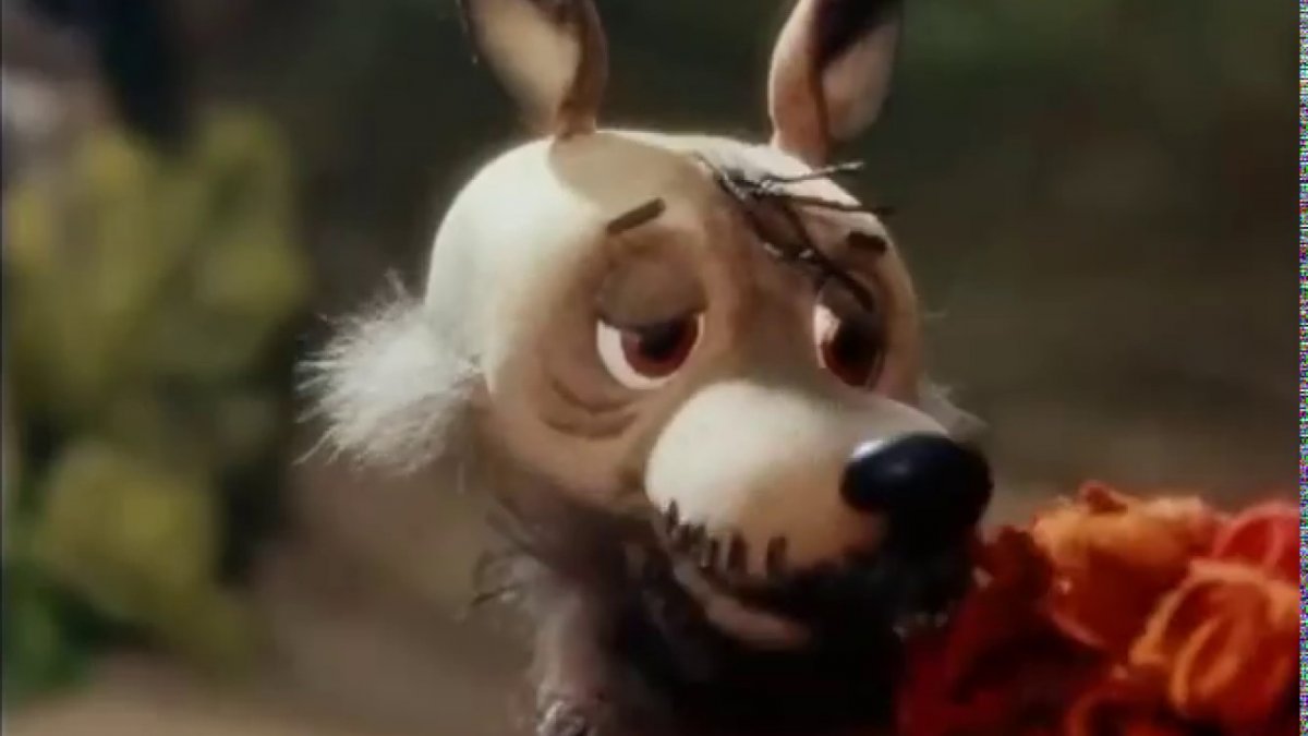 Советский мультик про бычка и волка