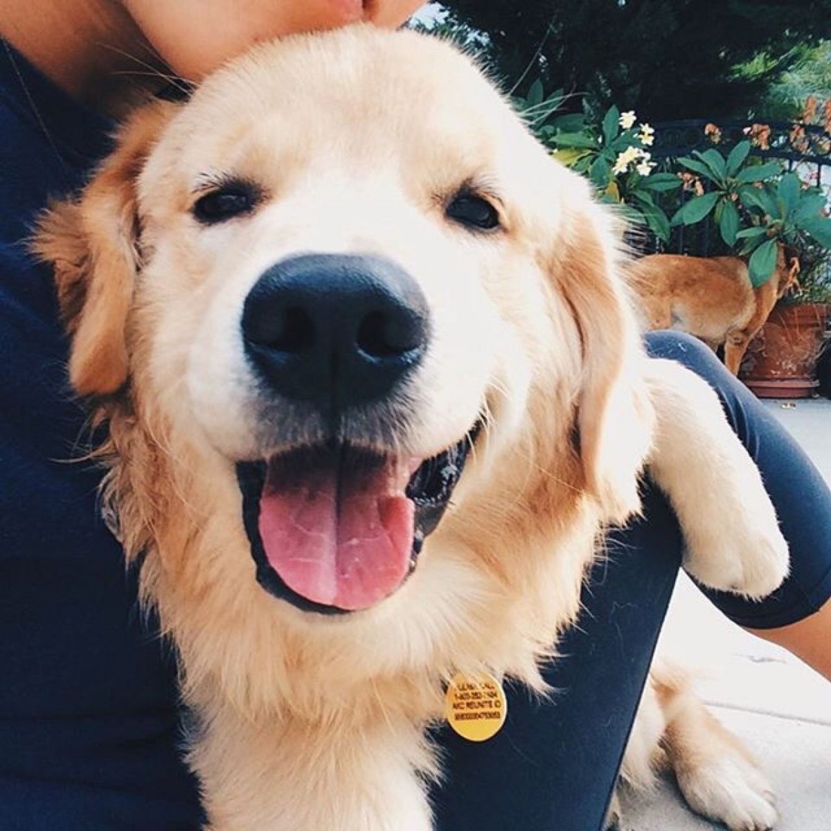 Ретривер тумблер