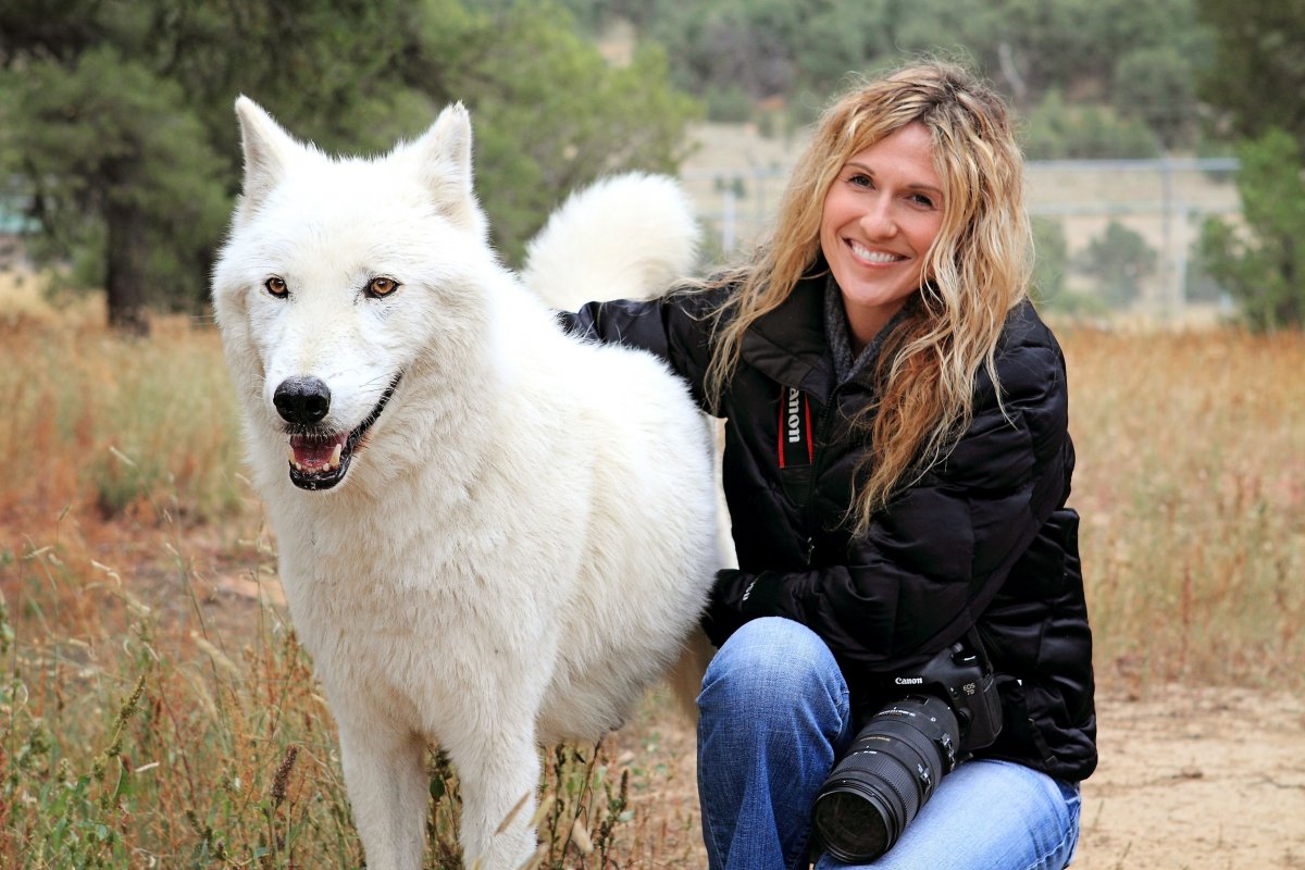 Самый крупный волк