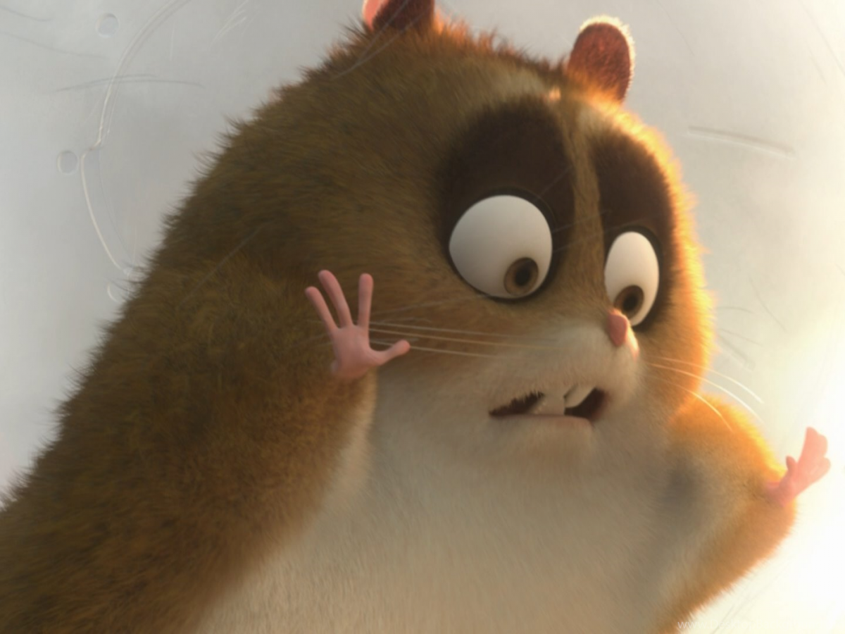 Вольт мультфильм 2008 кошка