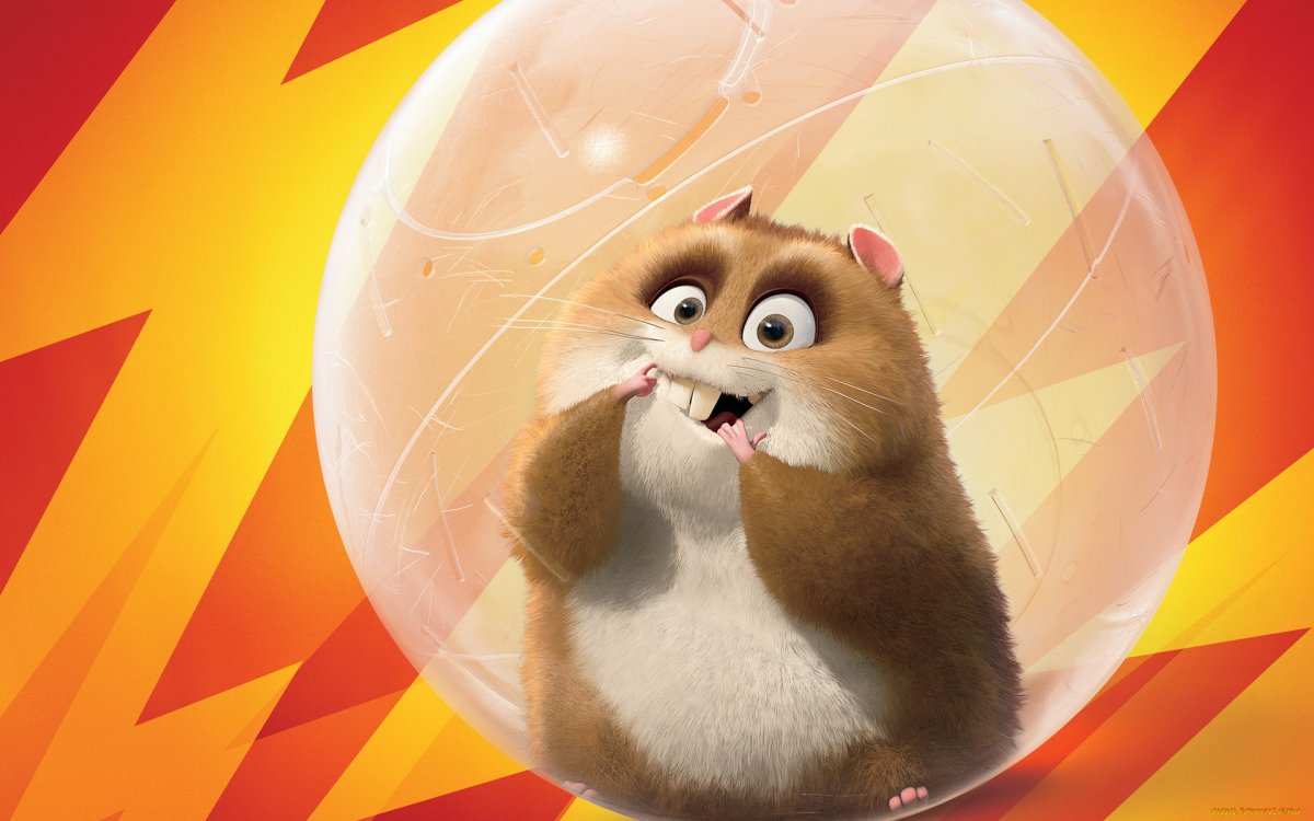 Рино хомяк мультфильм