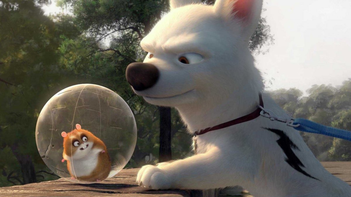 Мультик вольт хомяк