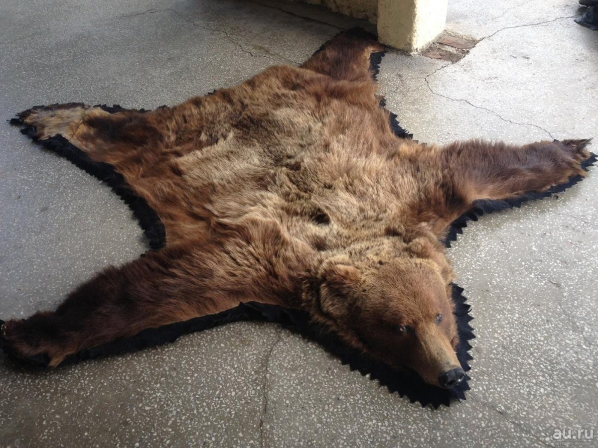 Александровский дворец шкура медведя