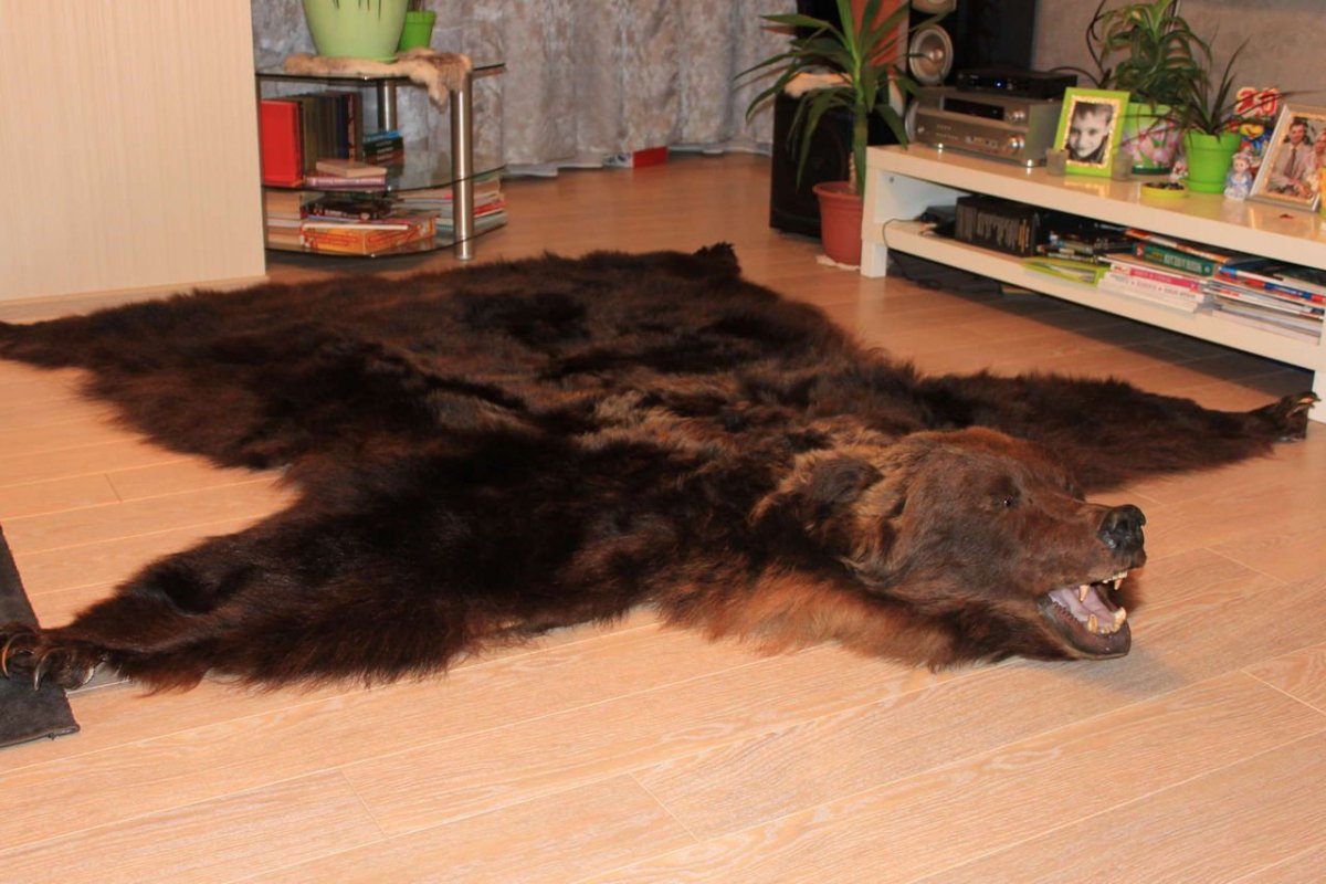 Коврик шкура медведя из старой шубы