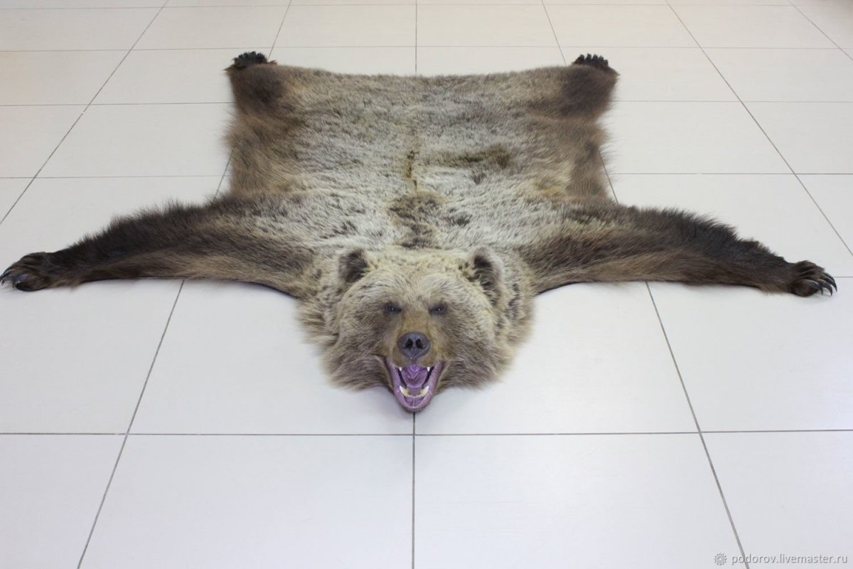 Одежда из медвежьей шкуры