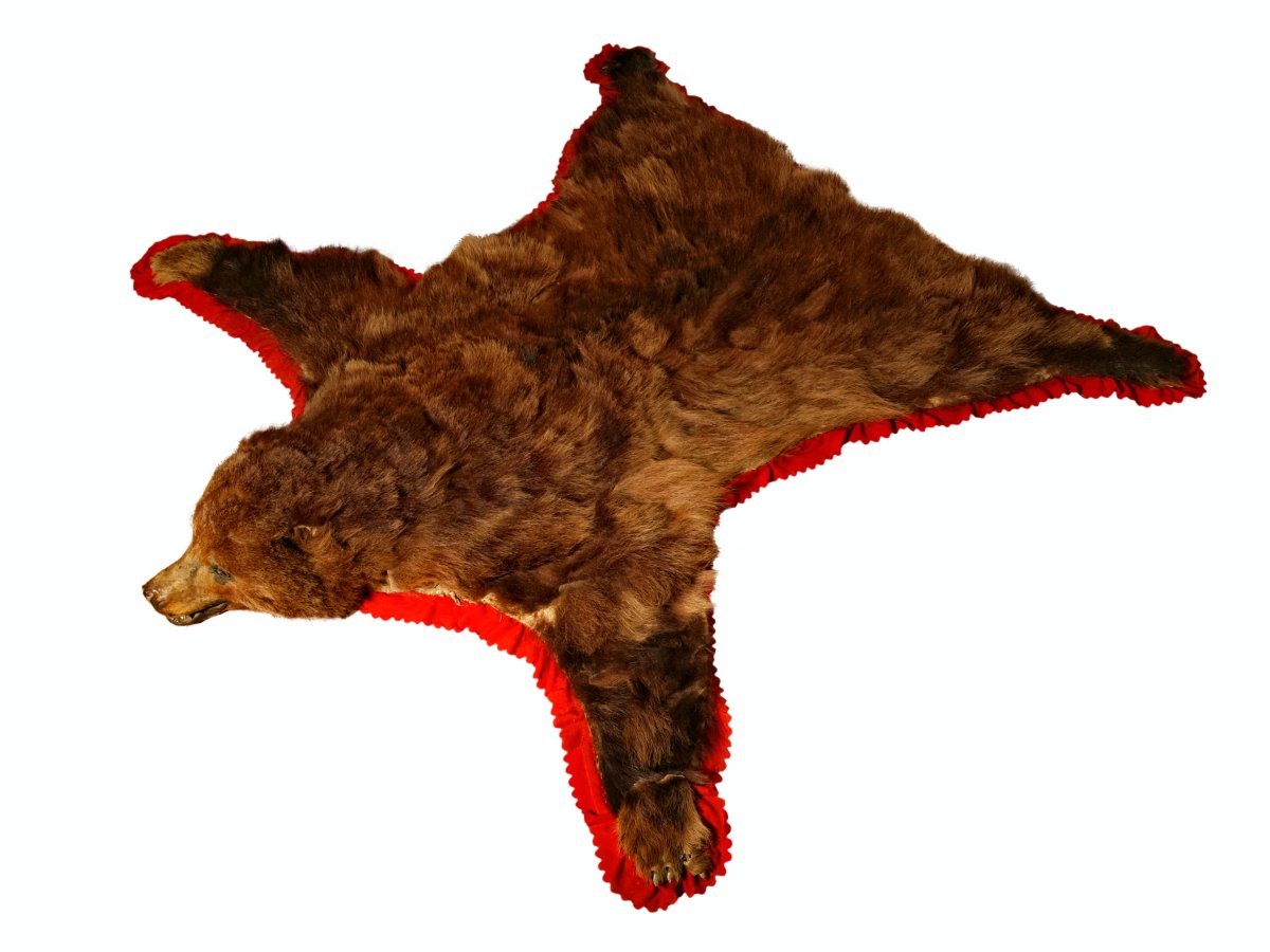 Человек в медвежьей шкуре