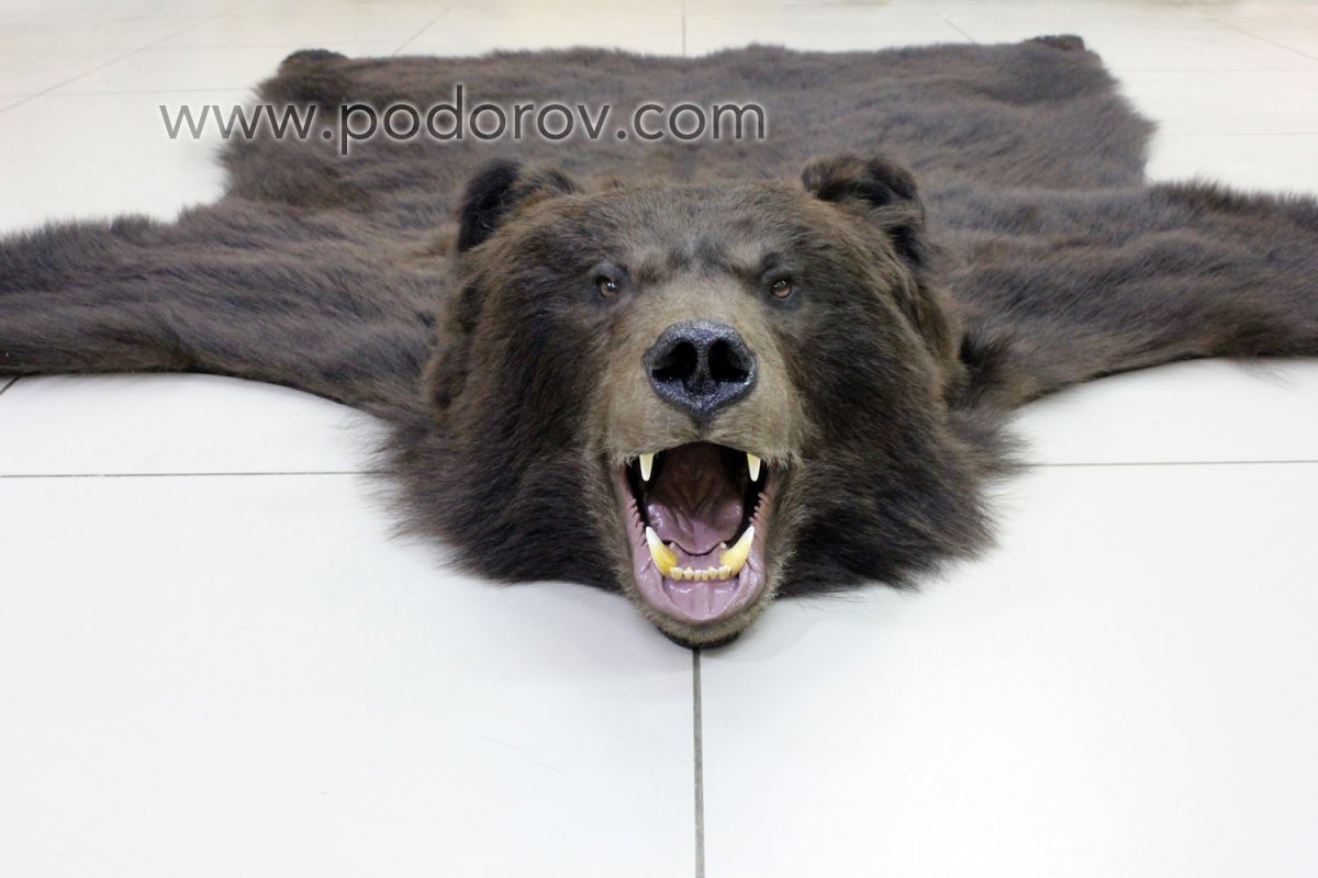 Накидка из шкуры медведя