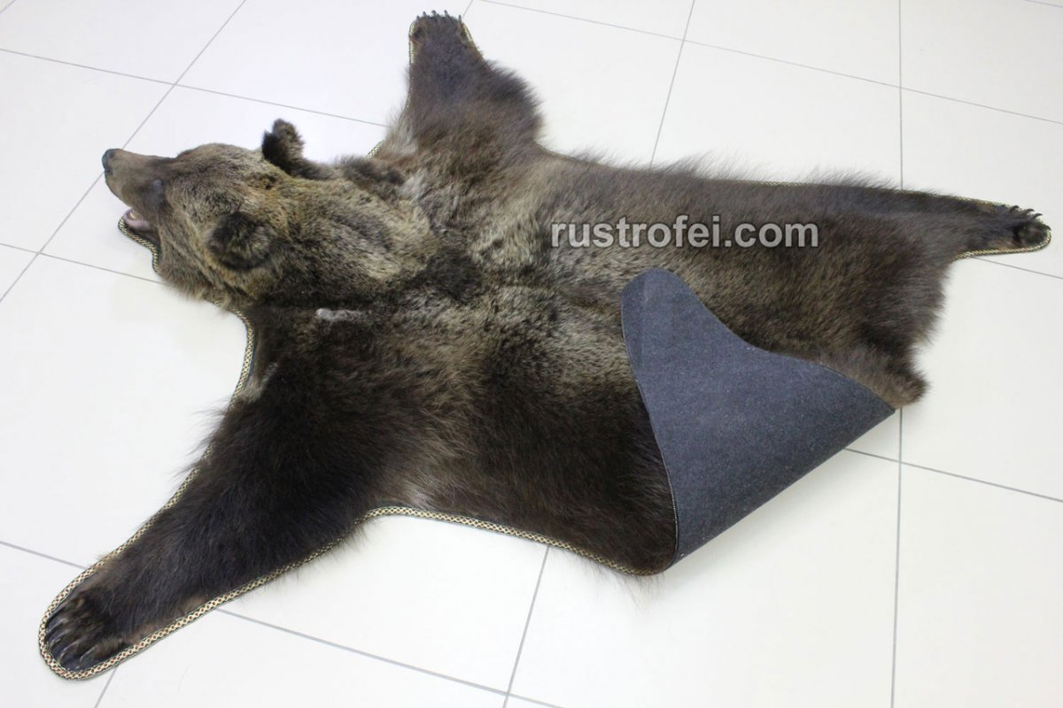 Канадский койот мех