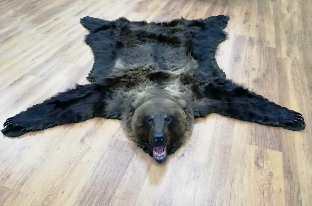 Медвежья шкура арт