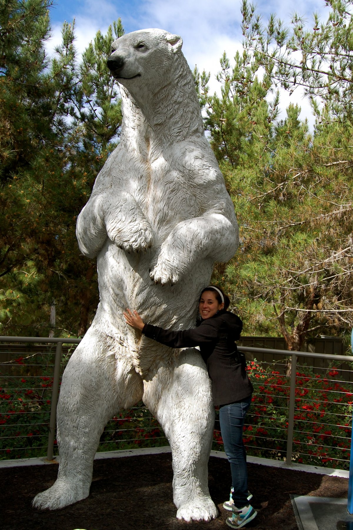 Вероника дичка и медведь