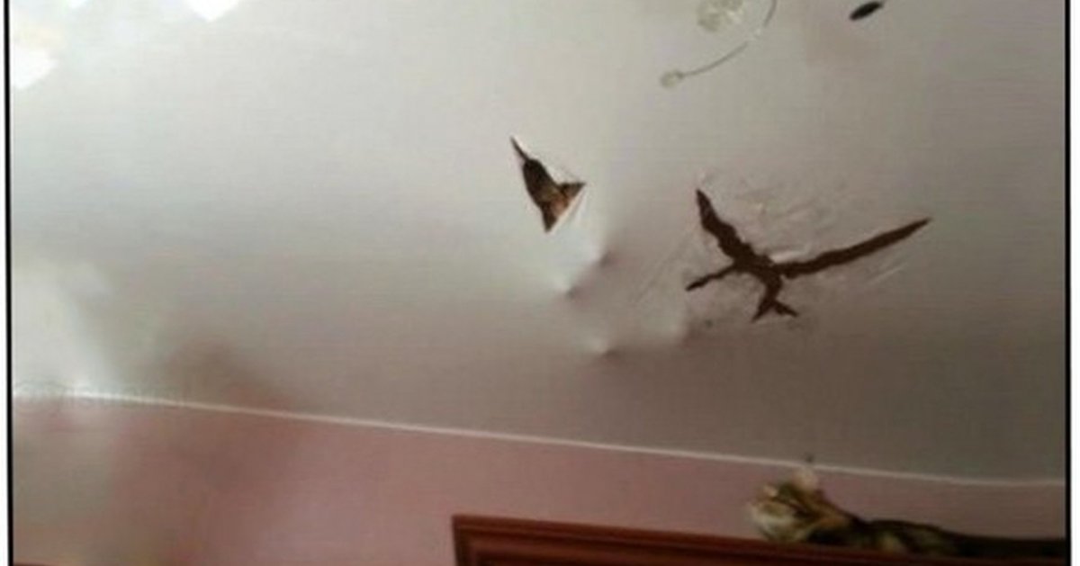 Мифы о натяжных потолках