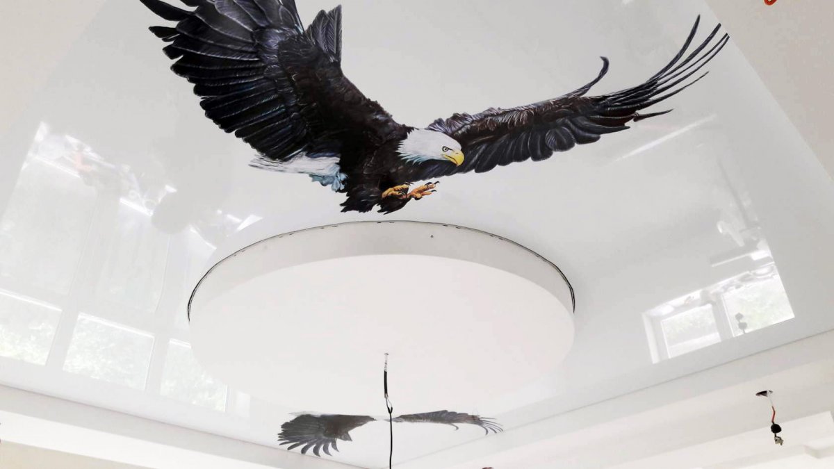 Мостик для кошки на потолок