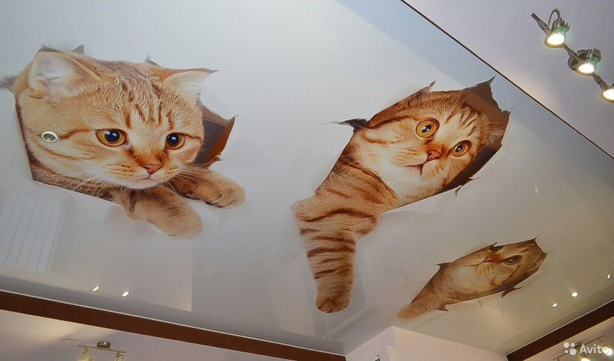 Натяжные потолки с фотопечатью животных