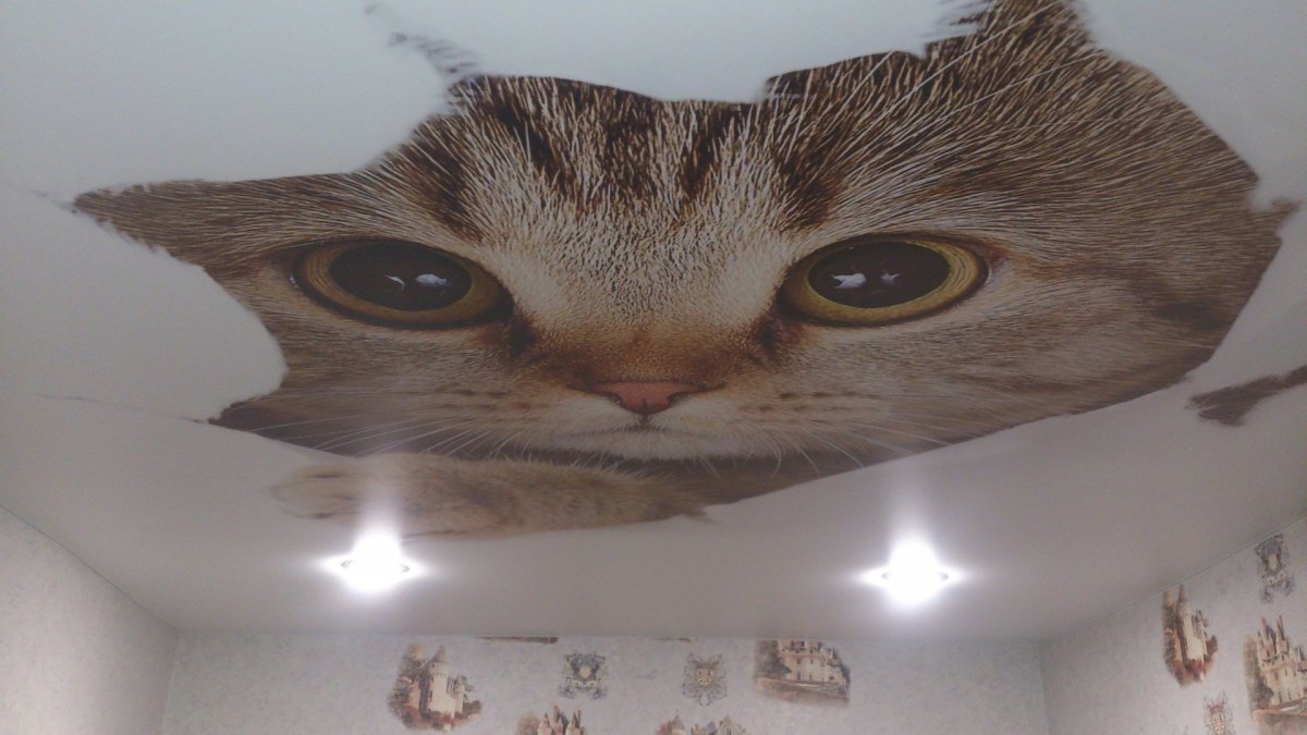 Фотопечать на потолке