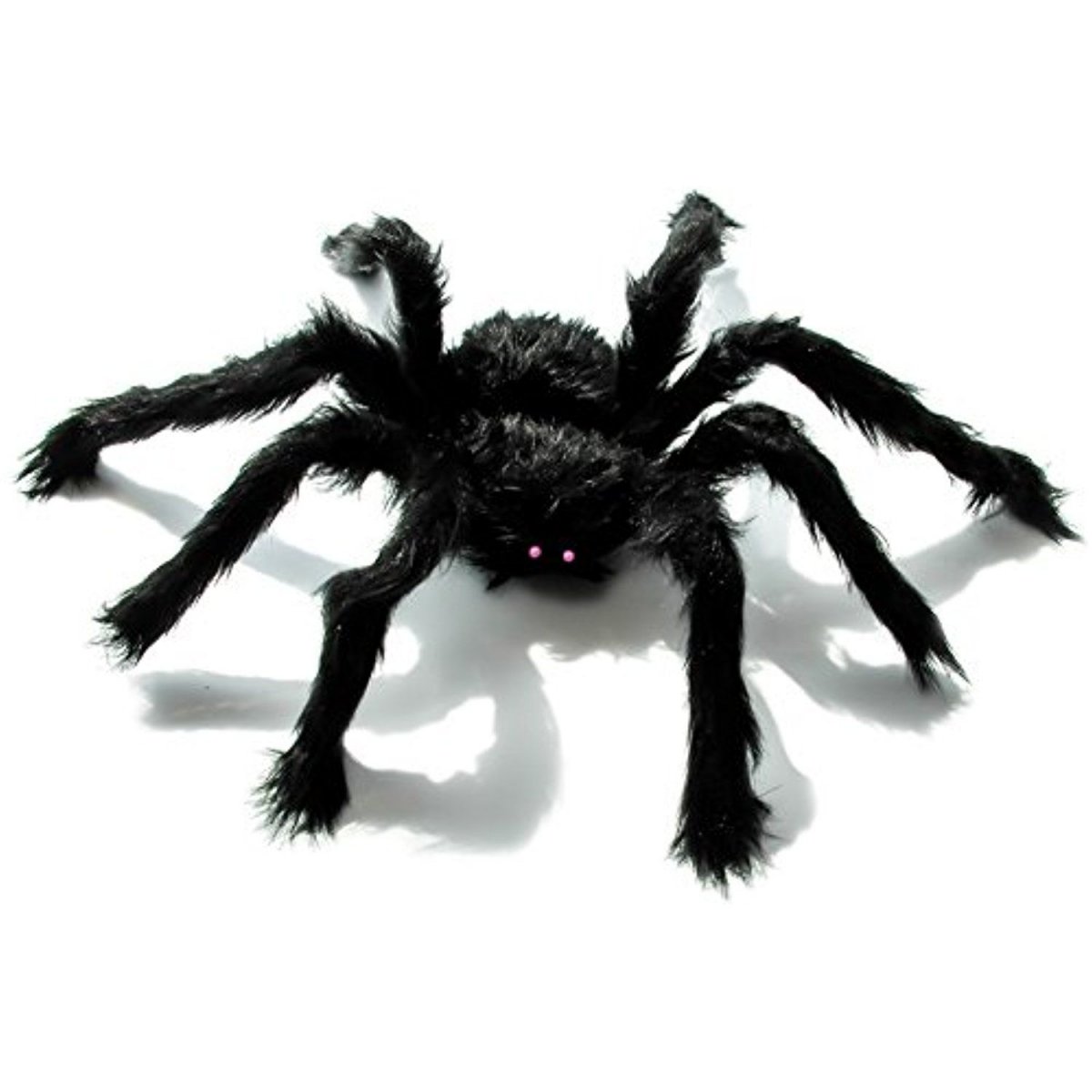 Паук Кардинал