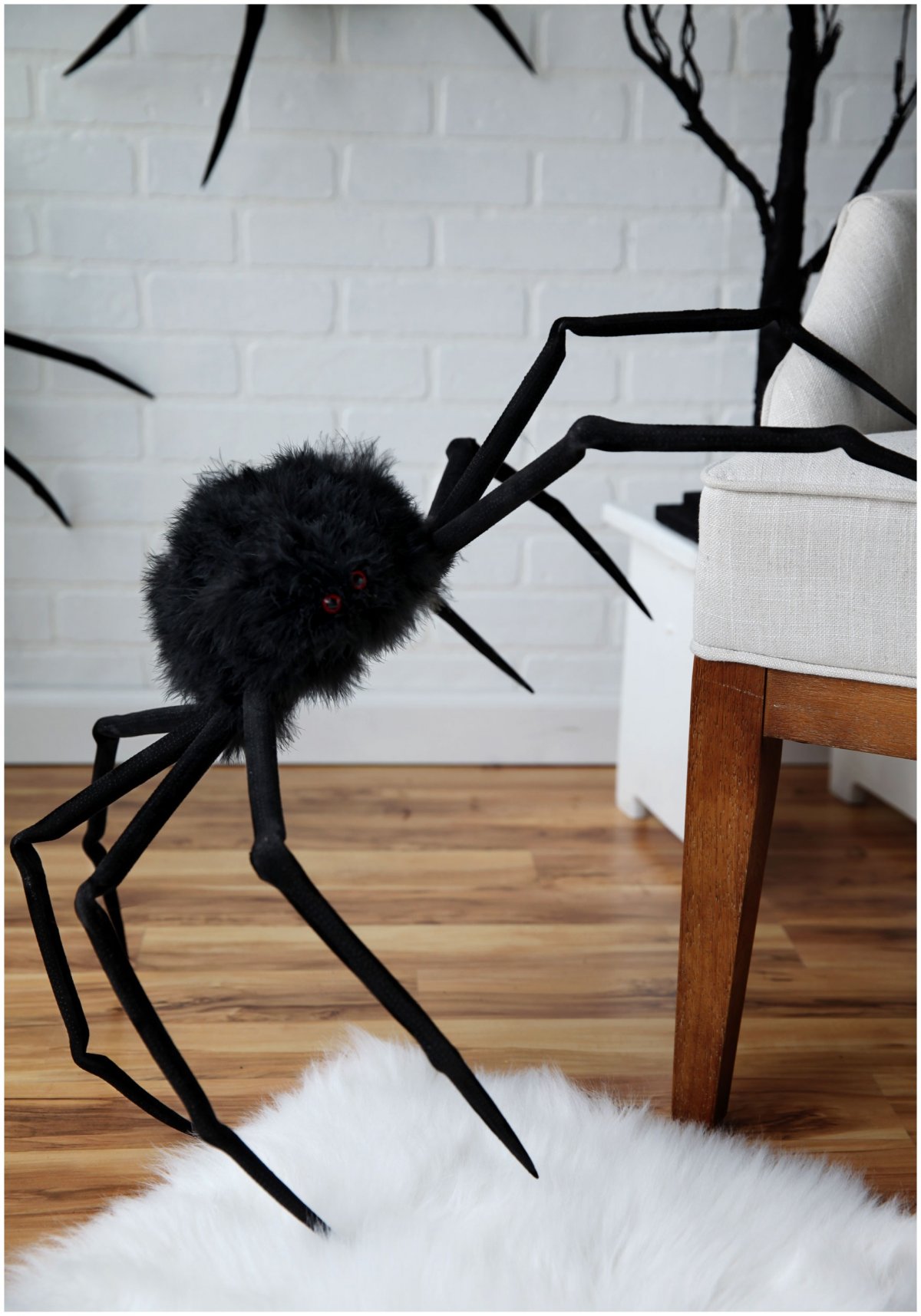 Брахипельма альбопилосум l8