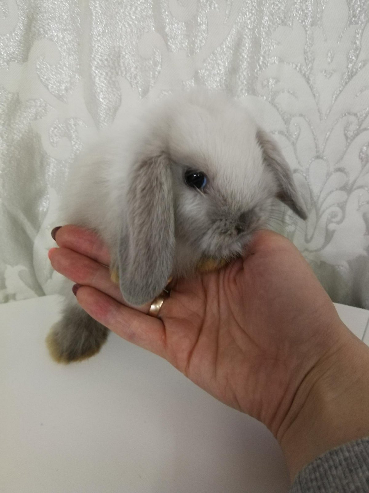 Кролик амигуруми