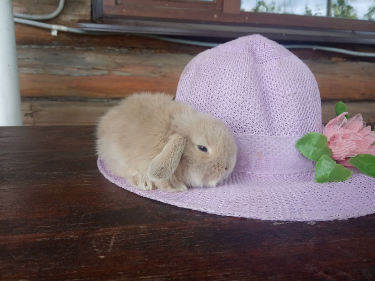 Вязаный кролик маленький