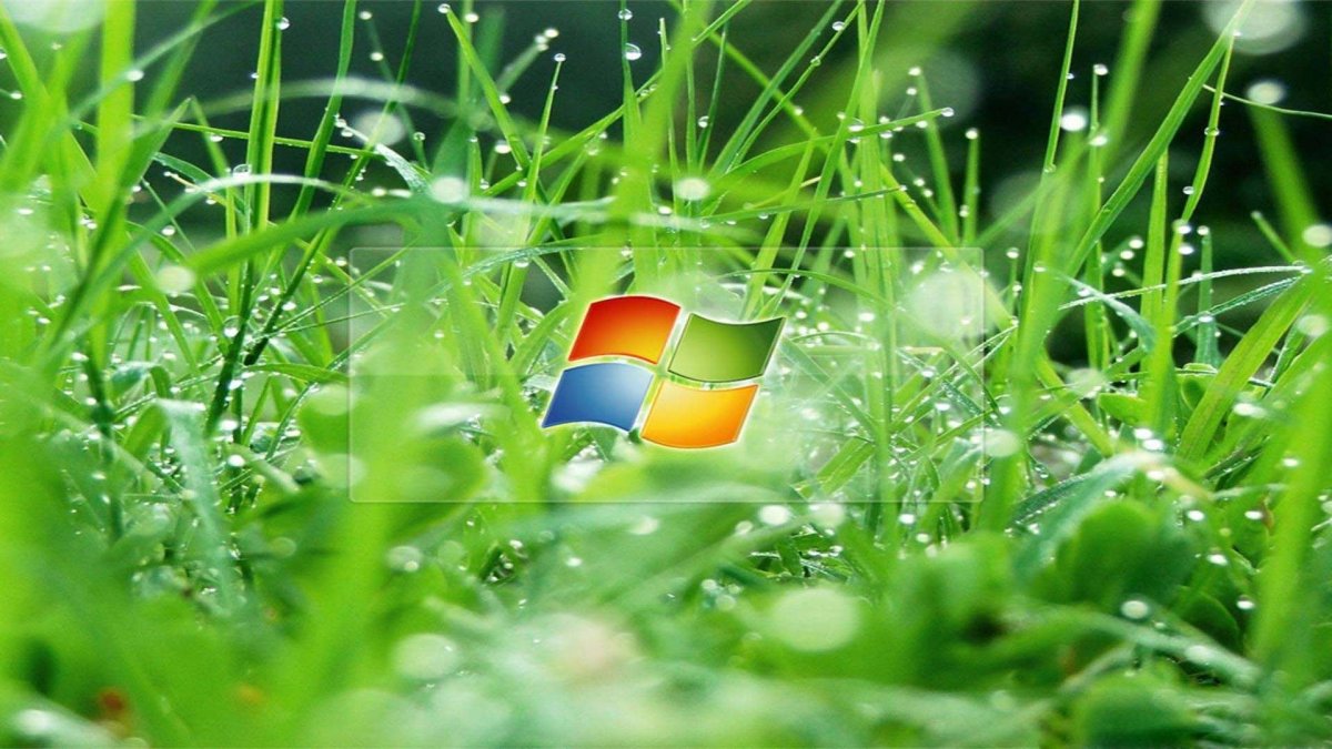 Фоновый рисунок рабочего стола Windows
