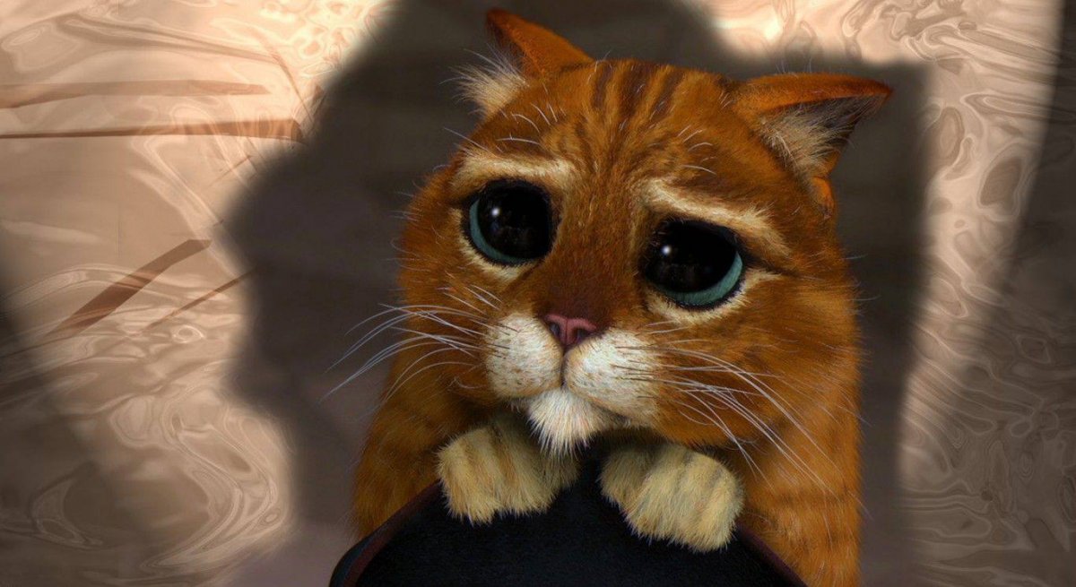 Прелестные котята