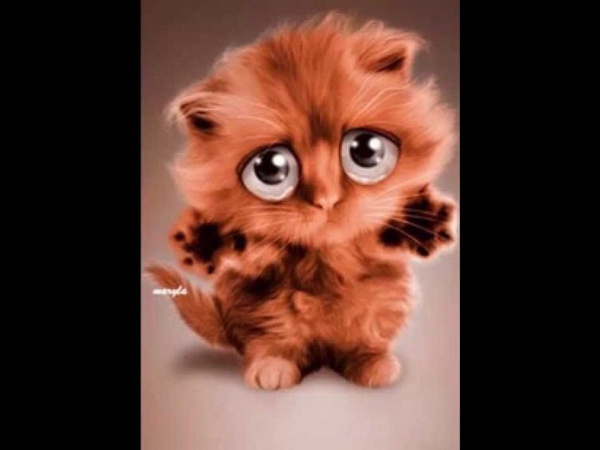 Грустное животное