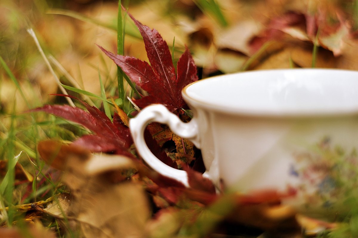 Осенний кофе