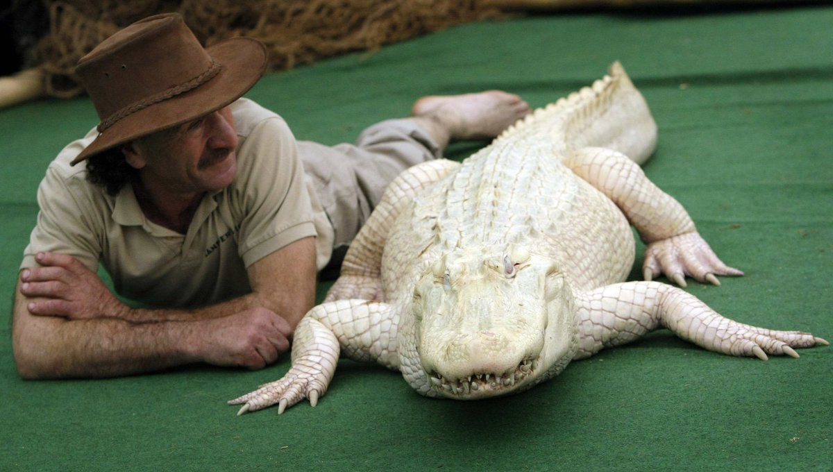 Страшный Бегемот Тревор Хендерсон