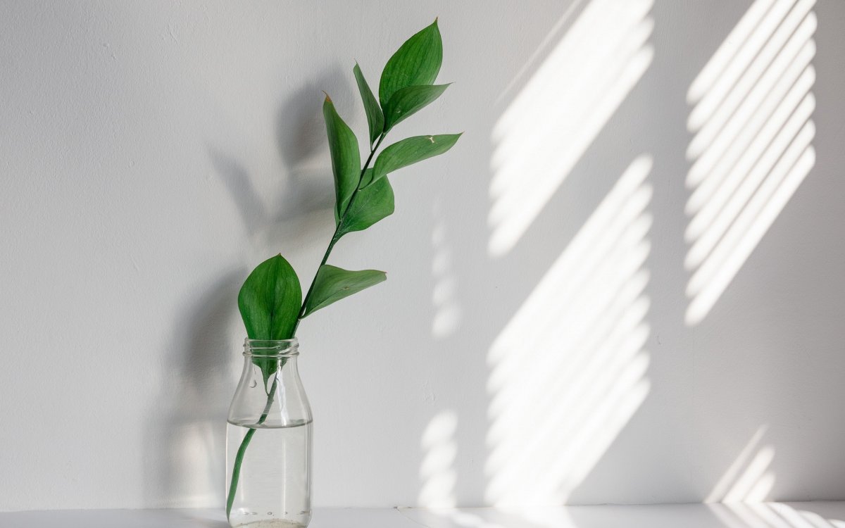 Эстетика коллаж коричневый