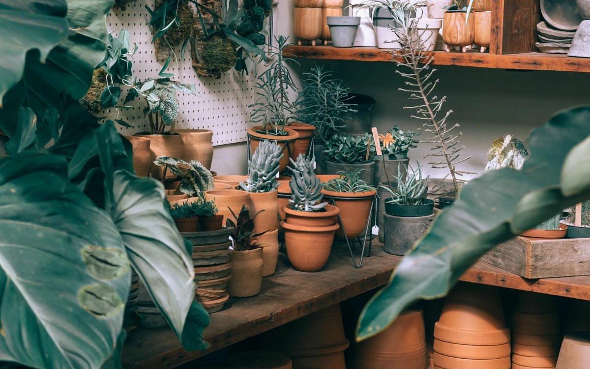 Фон для рабочего стола Эстетика