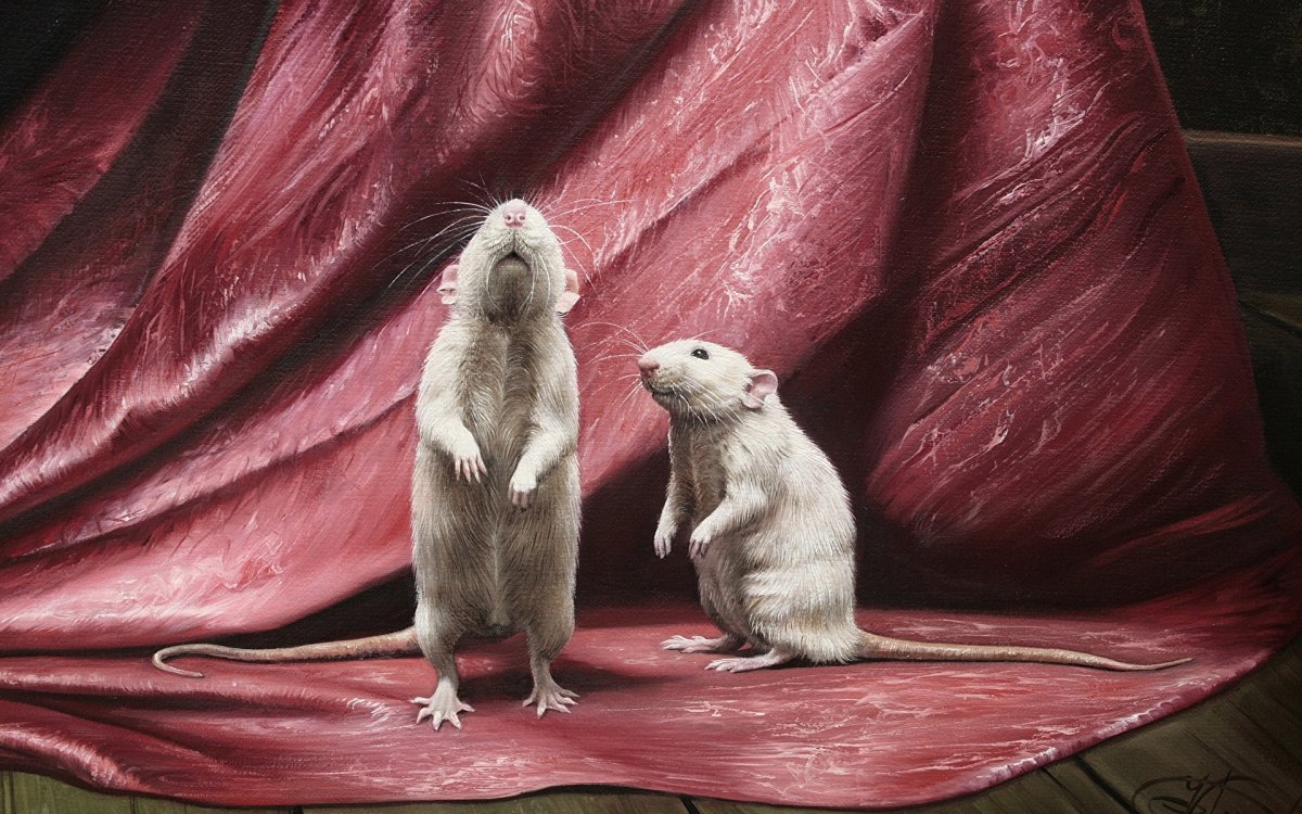 Милая крыса