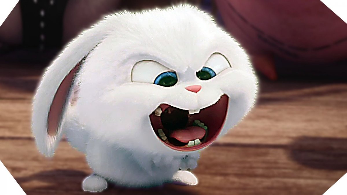 Тайная жизнь домашних животных снежок