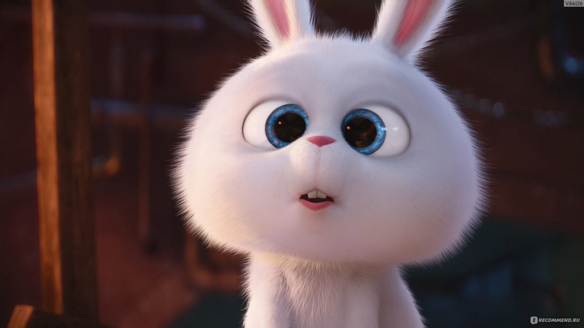 Заяц мультяшный