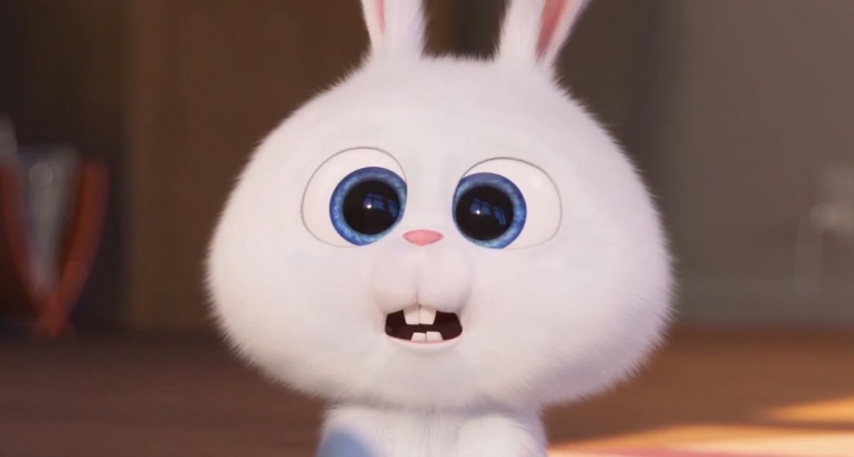 Тайная жизнь домашних животных заяц снежок