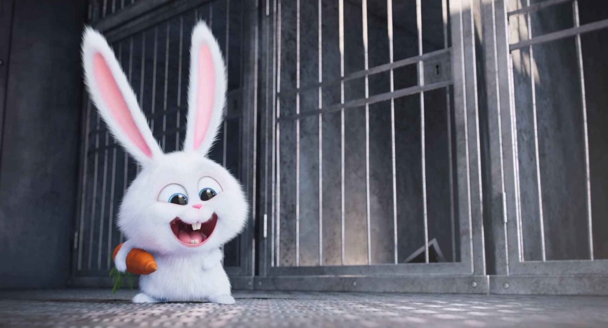 Тайная жизнь домашних животных кролик