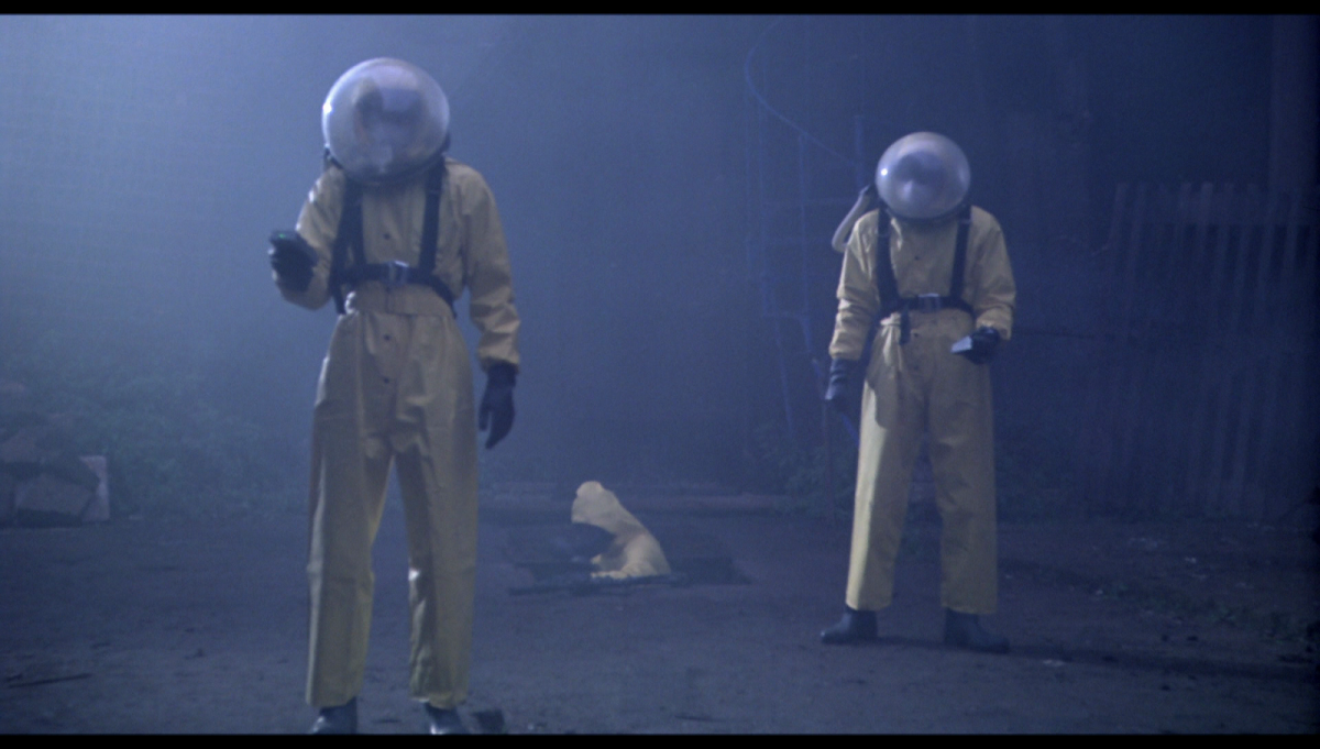 Еврейская крыса