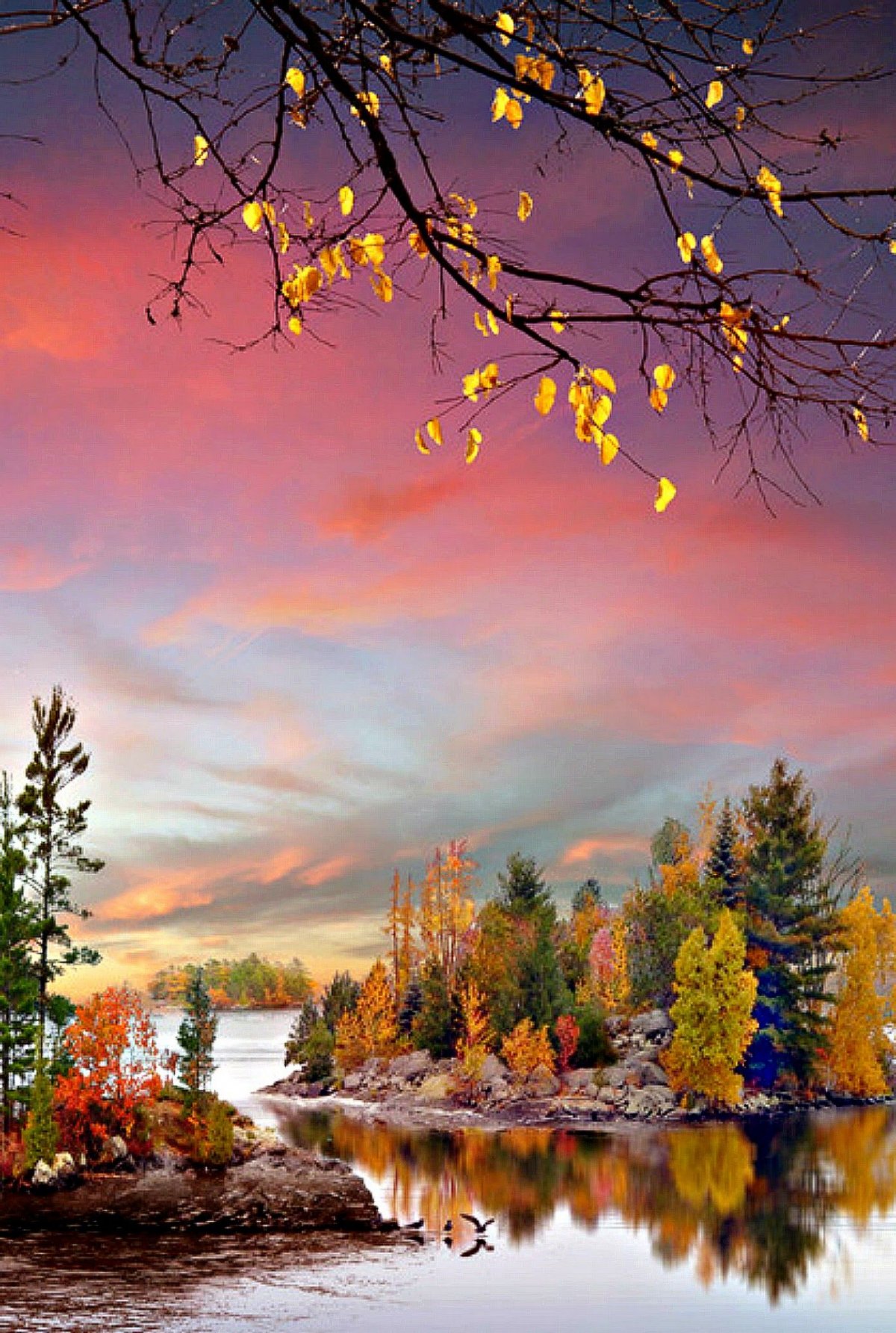 Осень листья