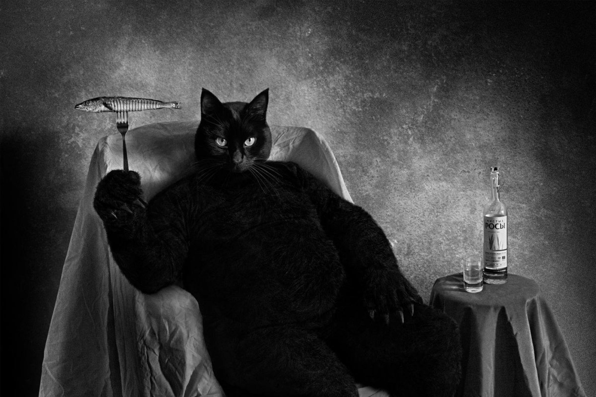 Готическая Эстетика кошки