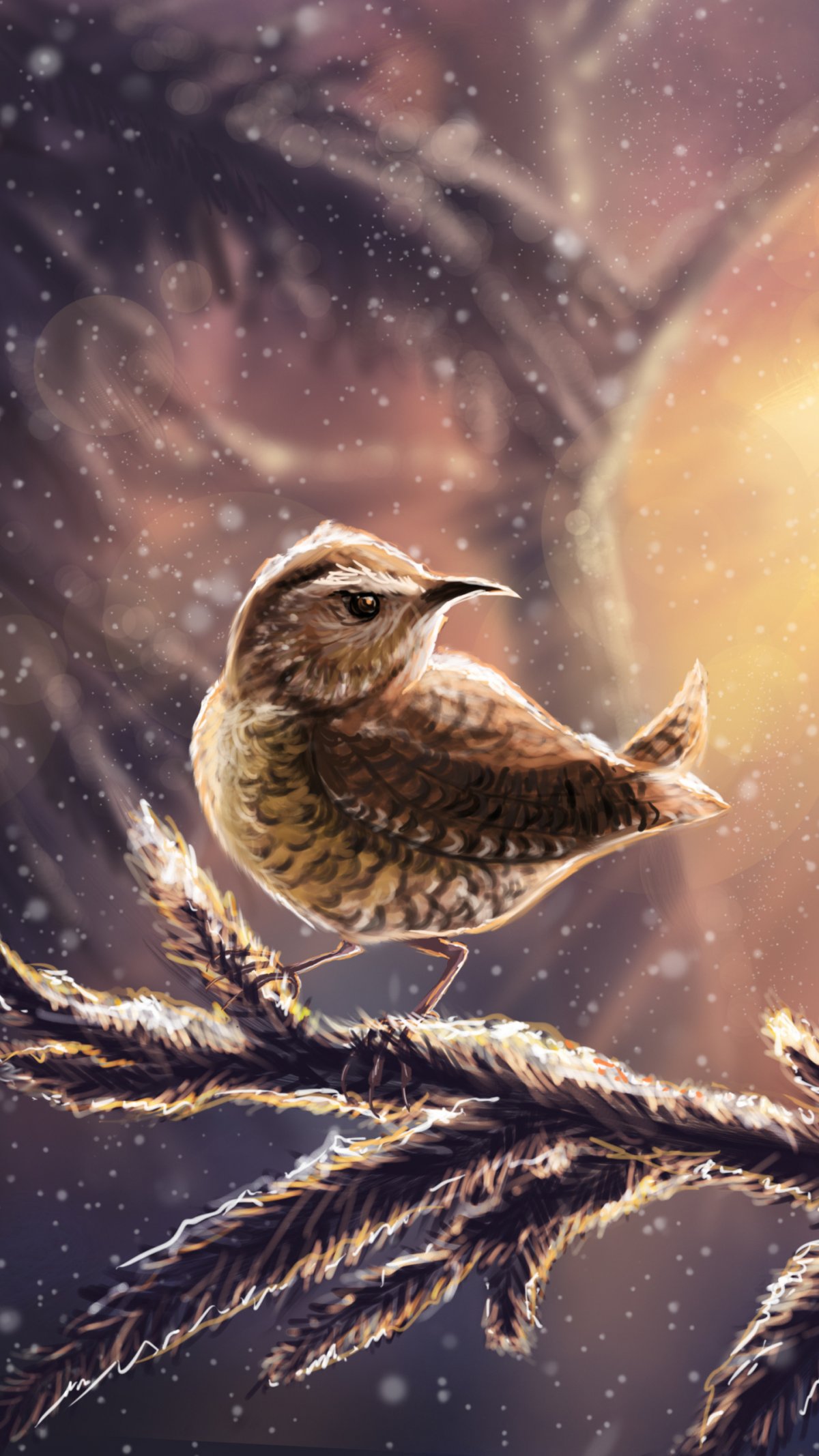 Красивые птицы