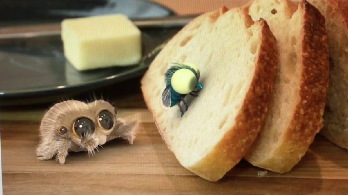 Паук Лукас мультик