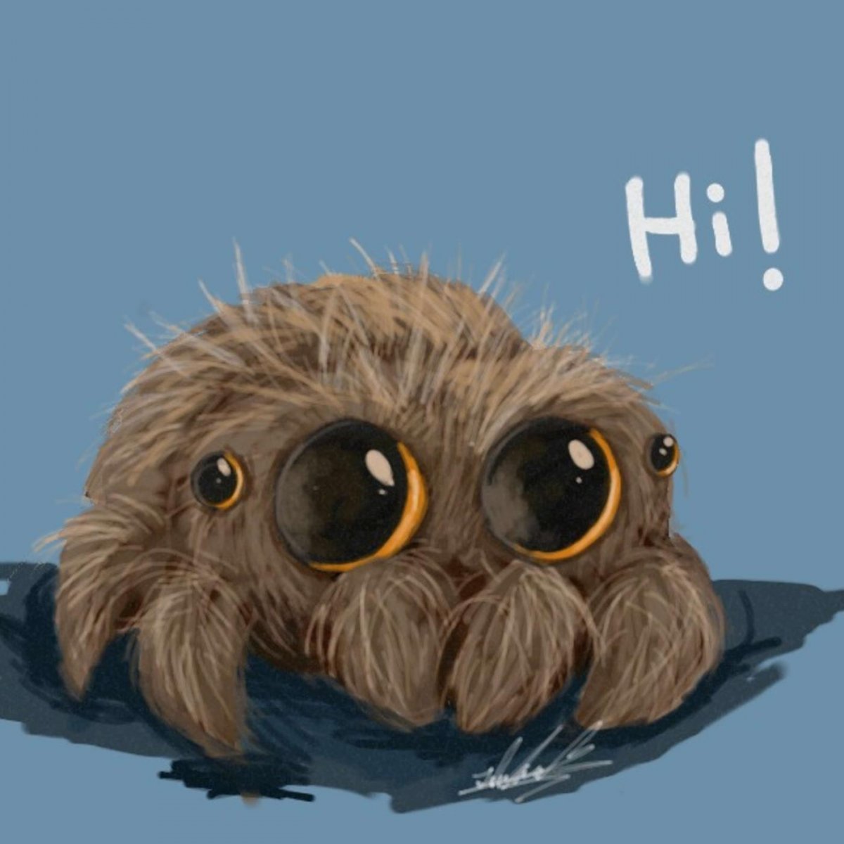 Мягкий паук Лукас